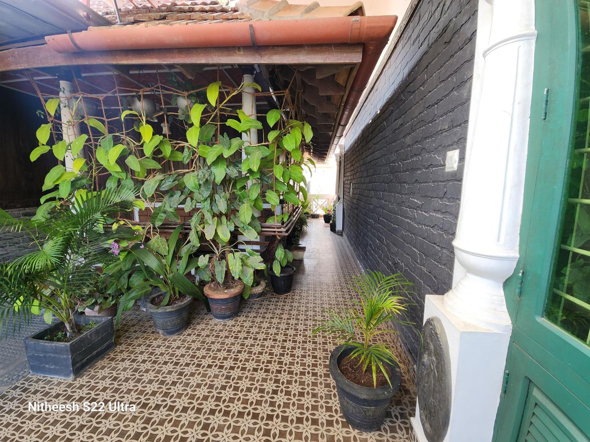 Kairali Palace Home Stay เทกคาดี ภายนอก รูปภาพ